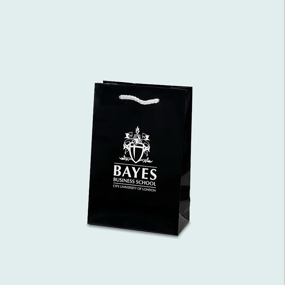 Premium Laminated Paper Bags